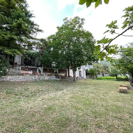 Rachele Bed & Breakfast *